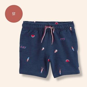 Boys Navy Embroidered Drawstring Shorts – Watermelon, Popsicle & Firework Print
